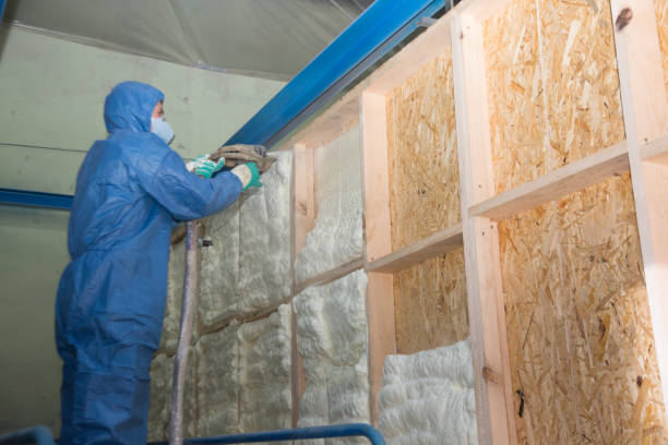 Best Affordable Insulation Services  in Lake City, IA