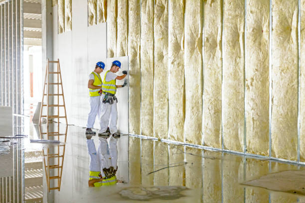 Best Spray Foam Insulation  in Lake City, IA